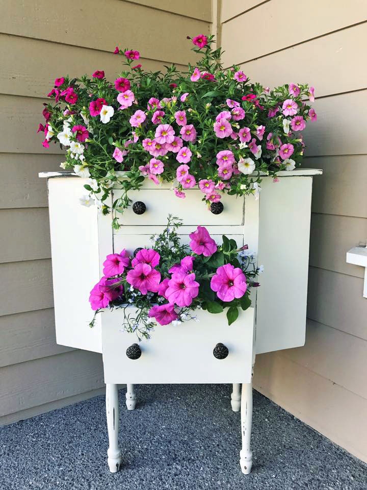 an old piece of furniture filled with blooms